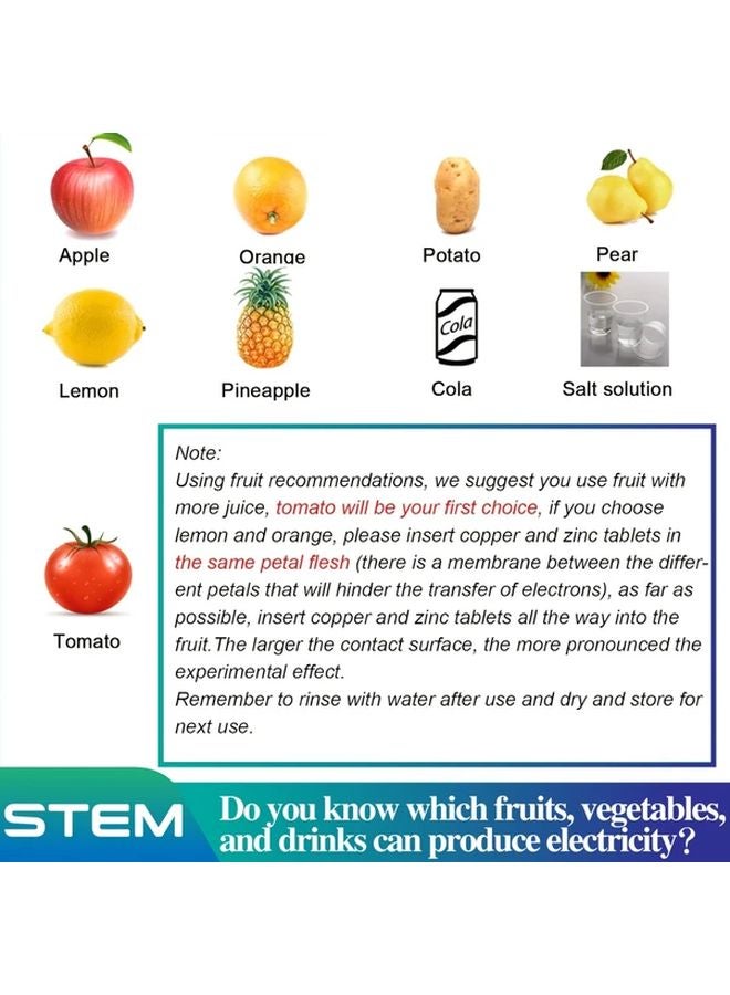 Model A8 STEM Science Kit For Fruit Powered Green Energy Physics And Electricity Education Projects - Image 1